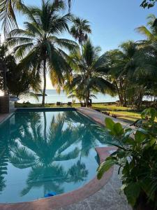 a swimming pool with palm trees and the ocean at Mermaid Manor Belize in White Hill