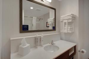 Hampton Inn Queen Creek, AZ的一间浴室