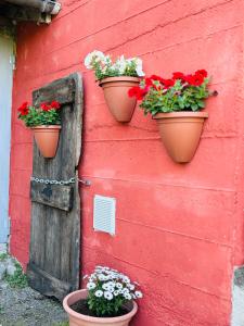 drie bloempotten op een rode muur met bloemen bij A casa di Mirna in Borghetto Di Borbera