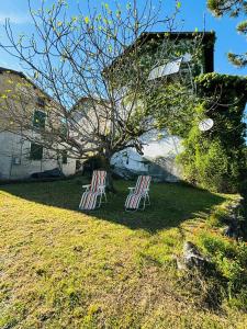zwei Stühle im Gras unter einem Baum in der Unterkunft A casa di Mirna in Borghetto Di Borbera