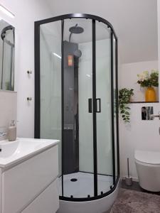 a shower in a bathroom with a sink and a toilet at La Picherotte, hypercentre Spa in Spa