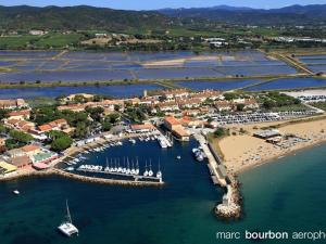 widok z lotu ptaka na port z łodziami na wodzie w obiekcie Appartement climatisé 2 pièces avec solarium pour 4 personnes, parking privé, proche plage - FR-1-335-166 w Hyères