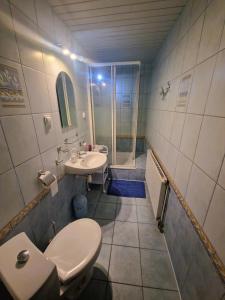 a bathroom with a toilet and a sink and a shower at Rozbrykany Muflon in Witoszów Dolny