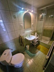 a bathroom with a toilet and a sink and a shower at Rozbrykany Muflon in Witoszów Dolny +54 photos