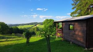 een kleine houten hut in een veld met een boom bij Chata na samotě, Šumava in Vrhaveč