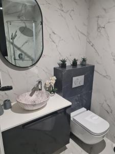 een badkamer met een wastafel, een toilet en een spiegel bij Apartament Kochanowskiego 10 in Nowy Sącz