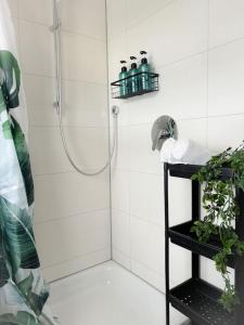 a bathroom with a shower and a black shelf with a plant at Hell und ruhig mit 2 Schlafz. + S-Bahnanbindung in Ulm