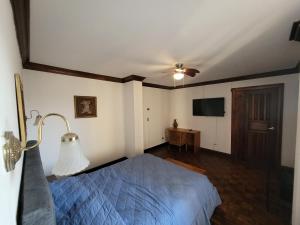 um quarto com uma cama e uma ventoinha de tecto em Pura Vida Dream em San José