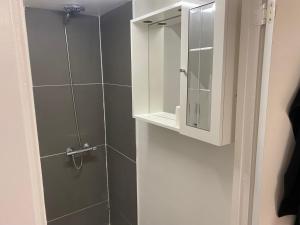 La salle de bains est pourvue d'une douche avec miroir et d'une armoire. dans l'établissement Billund star, à Brande