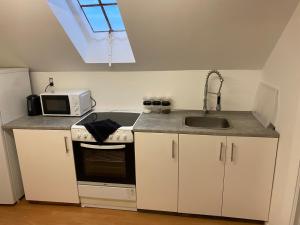 una pequeña cocina con fregadero y microondas en Billund star en Brande