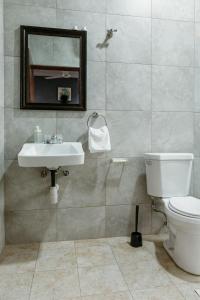 アクラにあるBlueGreen GuestHouseのバスルーム(トイレ、洗面台、鏡付)