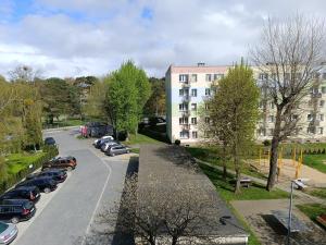 Okolica w pobliżu tego apartamentu