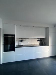Kuchyň nebo kuchyňský kout v ubytování Apartments Bogic