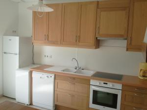 Louer的住宿－弗阿旁度假屋，厨房配有木制橱柜和白色冰箱。