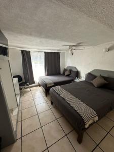 - une chambre avec deux lits et un canapé dans l'établissement Hotel Posada Jardín Aguascalientes, à Aguascalientes