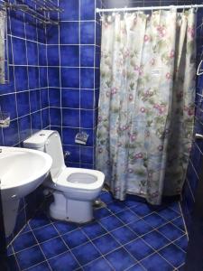 Porto Matroh Tours في مرسى مطروح: حمام من البلاط الأزرق مع مرحاض ومغسلة