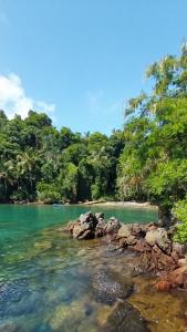 Chalés da Longa في انغرا دوس ريس: شاطئ فيه صخور واشجار في الماء