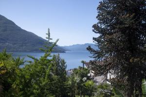vista su un lago con montagne sullo sfondo di Lake Dream a Brissago