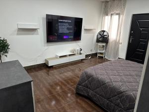 TV a/nebo společenská místnost v ubytování Villa eden