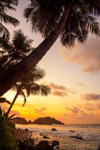 two palm trees on the beach at sunset at Noronha Economy Suítes - Hospedagem com melhor localização e custo benefício da ilha in Fernando de Noronha
