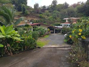 a driveway leading to a house with a bunch of plants at Villas TEAKEVEHERE - Fare OPUHI in Pirae