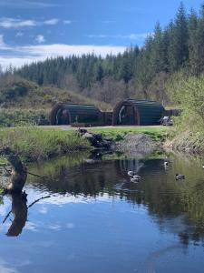 a river with ducks in the water with a train at Red Squirrel Pod with Hot Tub in Oban