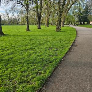 a path in a park with trees and grass at Bee hive 1 in Manchester