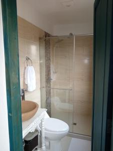 uma casa de banho com um lavatório, um WC e um chuveiro em Casa Silva - Hotel Cafe em Curití