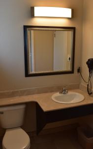 a bathroom with a sink and a mirror and a toilet at Country Inn in Santa Rosa