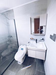 y baño con aseo, lavabo y ducha. en Apartment in Sosua - 4 Minutes From The Airport, en San Felipe de Puerto Plata