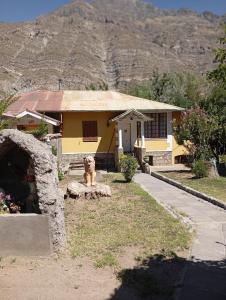 una casa con un perro sentado frente a ella en Hostal San Alfonso en San Alfonso