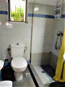 a bathroom with a toilet and a shower at Rafaela’s House in Skiathos