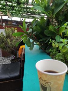 una taza de café sentada en una mesa con plantas en 82Hostel, en Bogotá