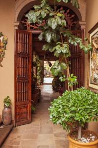 einen Flur mit Topfpflanzen und einer offenen Tür in der Unterkunft Mansion de los Sueños in Pátzcuaro