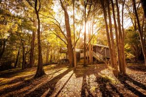 a cabin in the woods with the sun shining through the trees at Riverglen Chalets in Margaret River Town