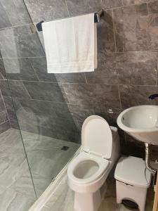 La salle de bains est pourvue de toilettes et d'un lavabo. dans l'établissement Chalet El Pinal - Copacabana, à La Estrella