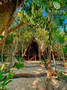 7 CIELOS BACALAR. في باكالار: كابينة في وسط غابة فيها اشجار