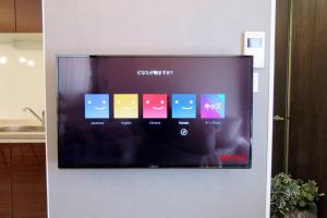 TV a/nebo společenská místnost v ubytování Maizon de Aile Room B