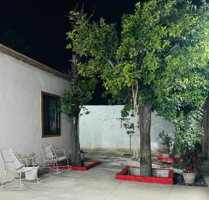 2 arbres et 2 chaises dans une cour dans l'établissement Casa 4 Personas, céntrica, patio amplio, à Ciudad Lerdo