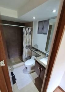 a bathroom with a toilet and a sink and a mirror at La mejor habitacion privada del sector in Mosquera