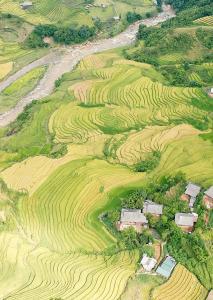 Gallery image of Mercury Homestay in Sa Pả