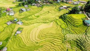 Gallery image of Mercury Homestay in Sa Pả