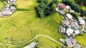 Gallery image of Mercury Homestay in Sa Pả +36 photos