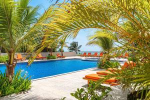 a pool with orange chairs and a palm tree at Morros 3 in Cartagena de Indias