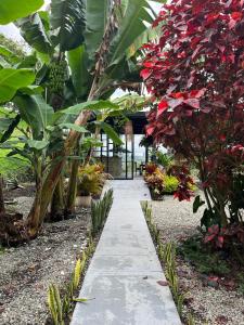 a walkway in a garden with many plants at Kai Hotel Campestre in Calarcá