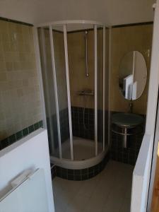 a bathroom with a shower and a toilet and a sink at Appartement spacieux et confortable in Valence