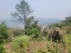 ナガルコットにあるSisters homestayのギャラリーの写真 +13枚の写真