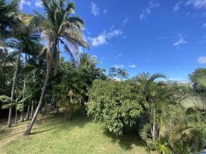 a group of palm trees on a grass field at COLIVER - COLIVING A LA RÉUNION in Saint-Pierre