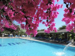 Bazén v ubytování Corfu Hotel nebo v jeho okolí