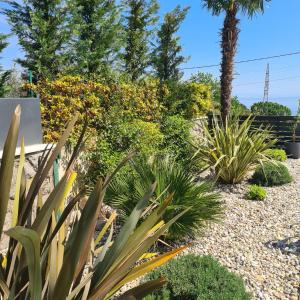 Vonkajšia záhrada v ubytovaní Luxury Apartment Nina with heated swimming pool, Villa Adriatic